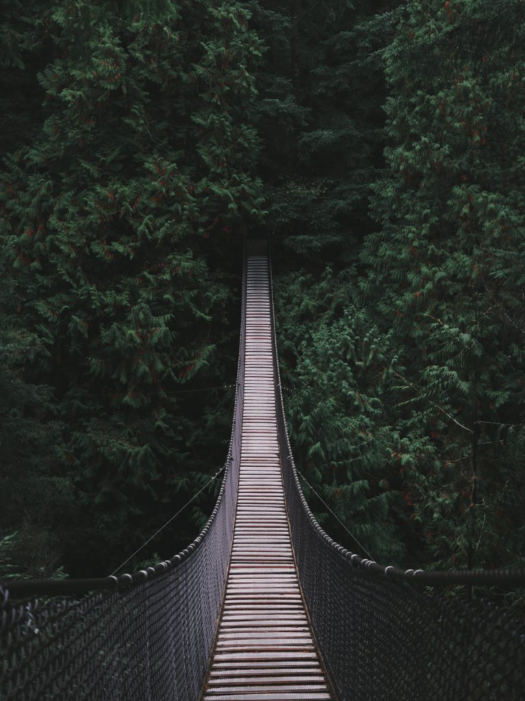 Rope bridge to green woods
