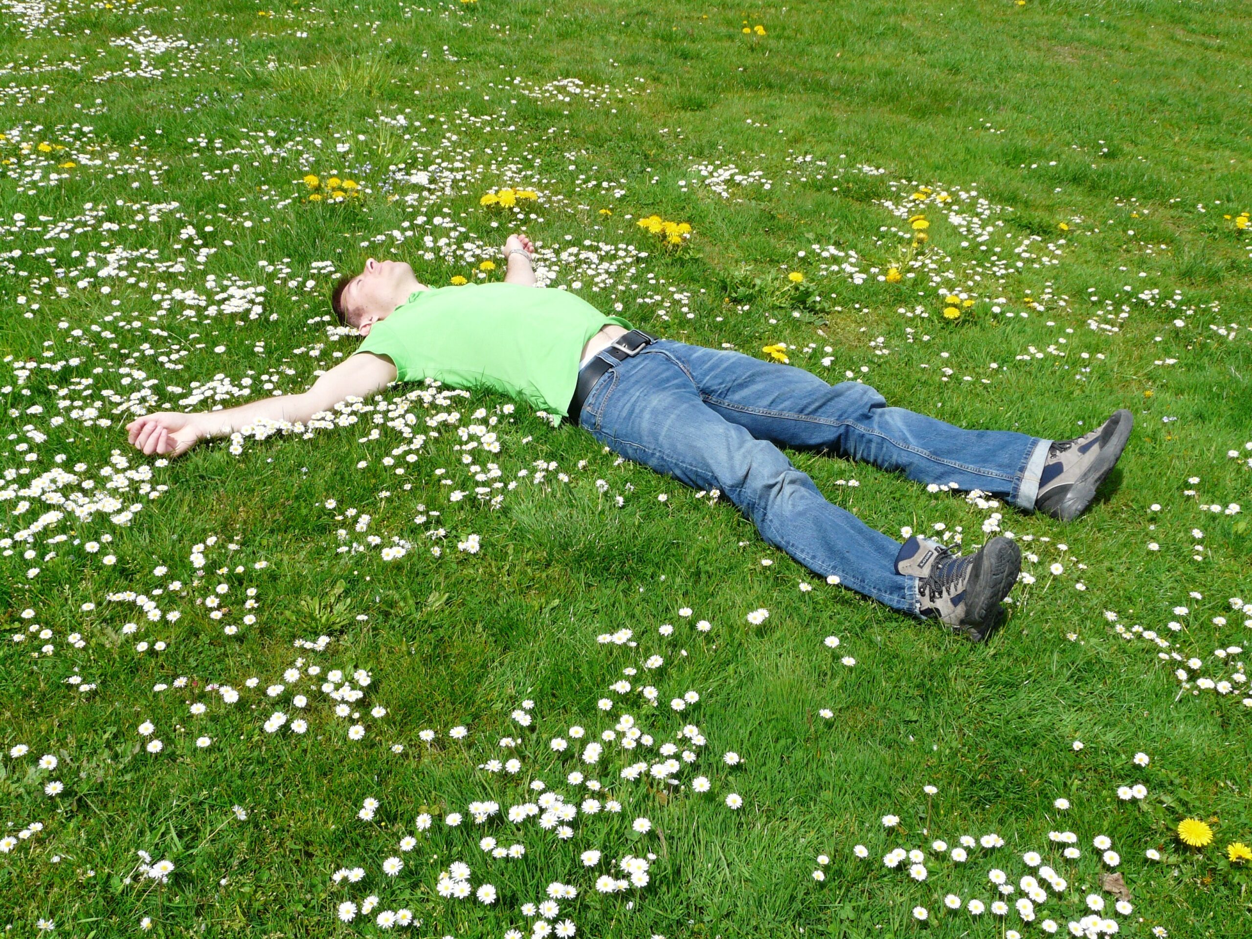 Man resting in grass and flowers